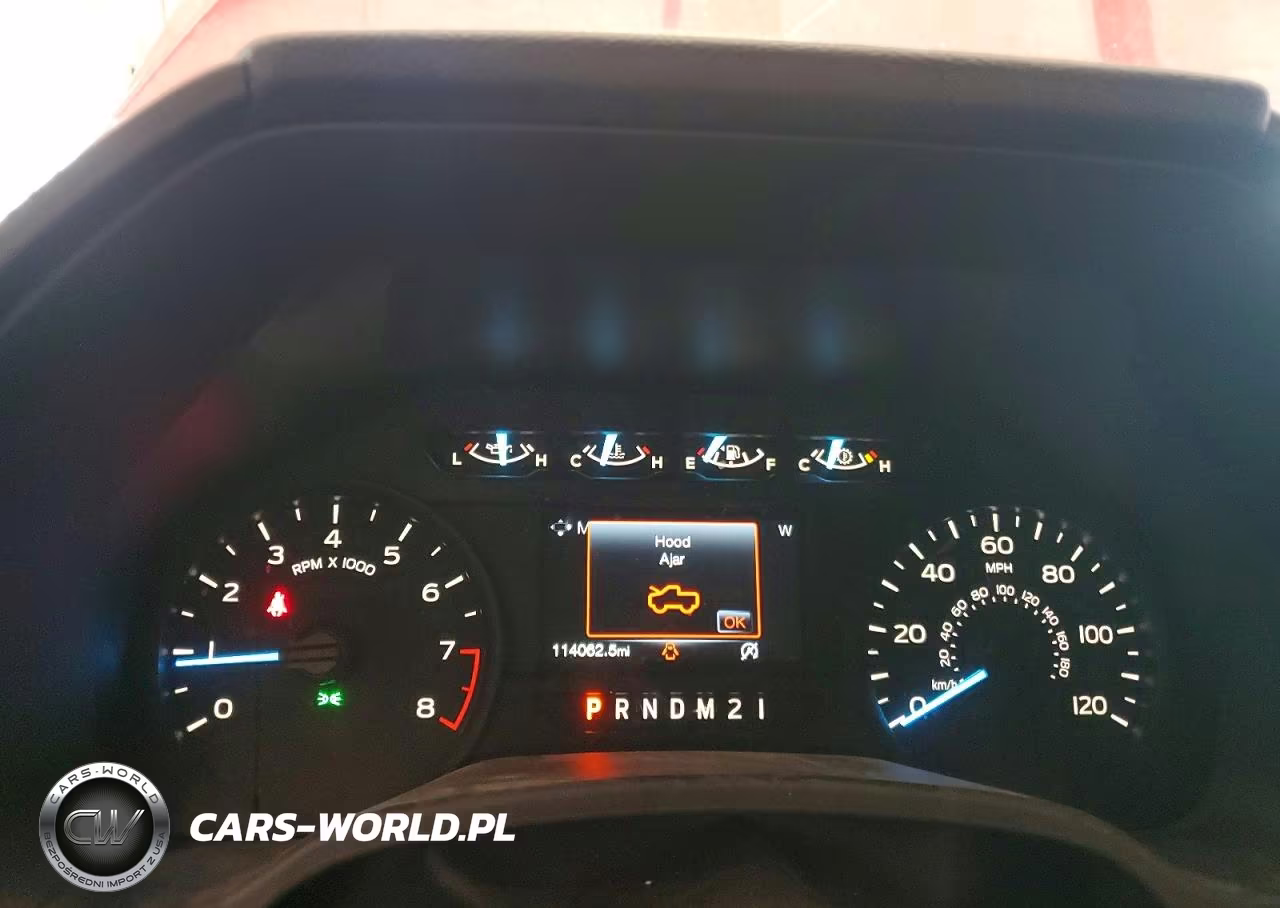 2019 Ford F150 Supercrew VIN:1FTEW1CB8KKC82385 - 9
