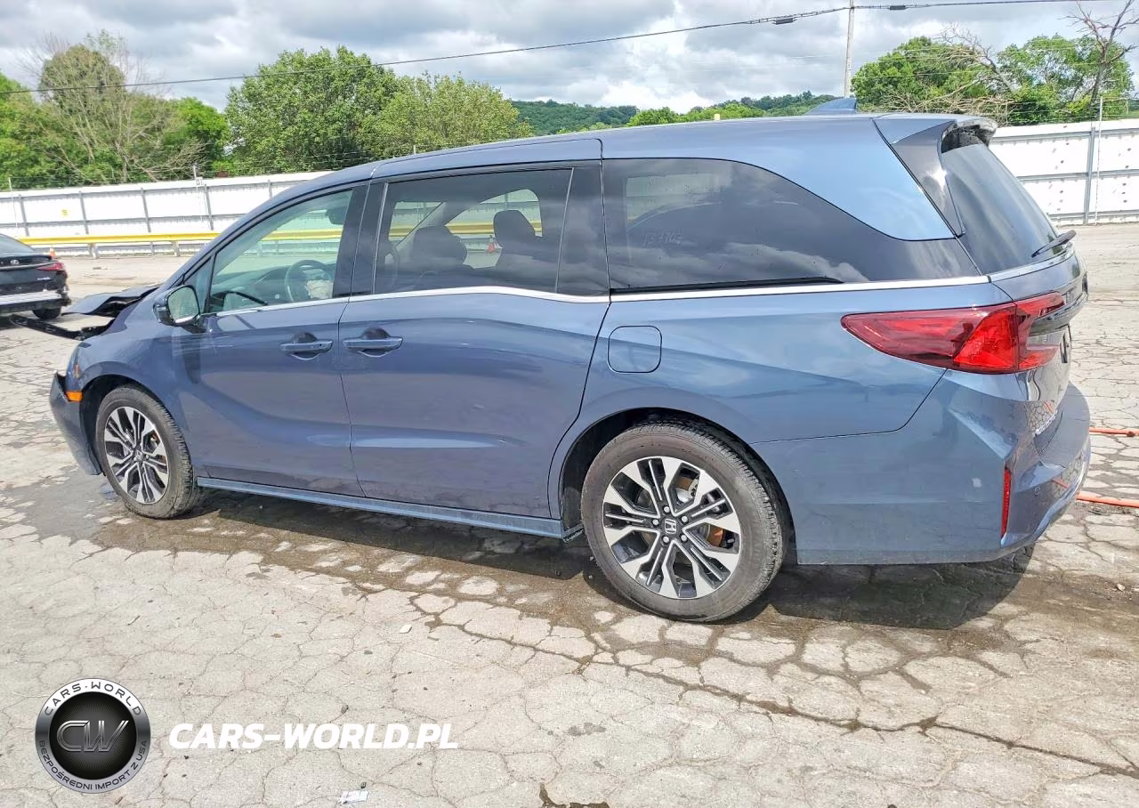 2025 Honda Odyssey Elite VIN:5FNRL6H91SB028317 - 2