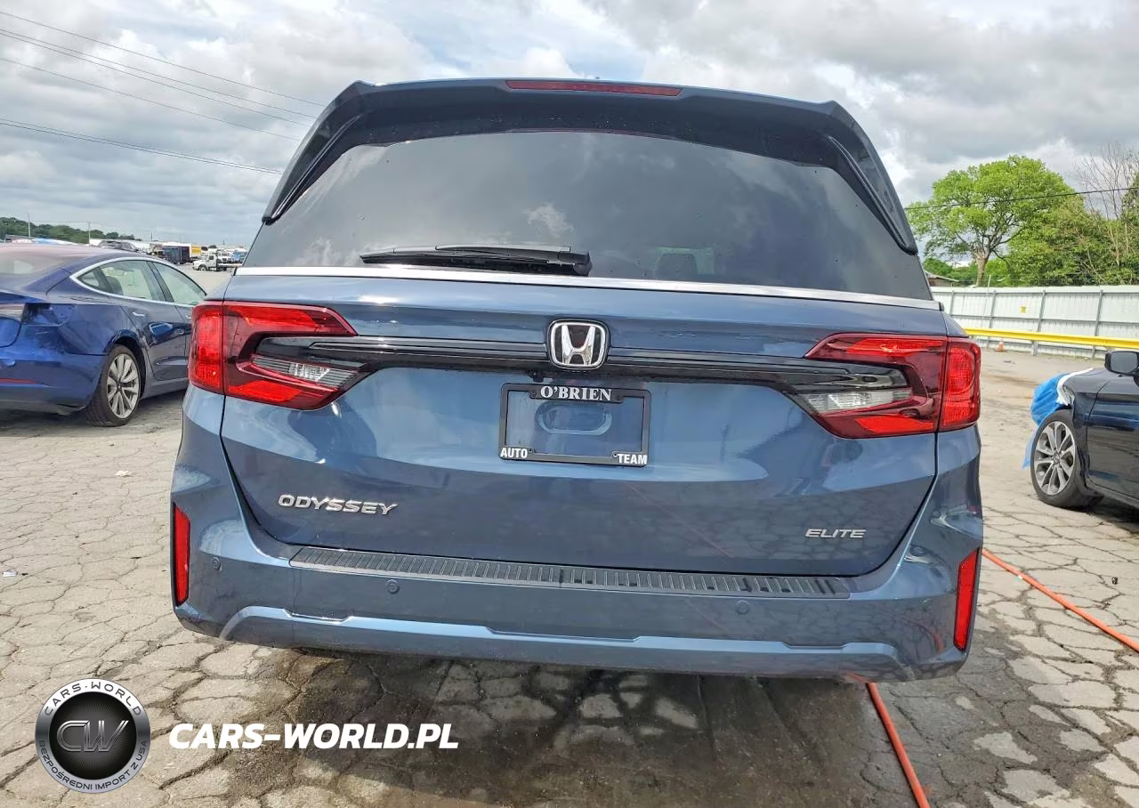 2025 Honda Odyssey Elite VIN:5FNRL6H91SB028317 - 6
