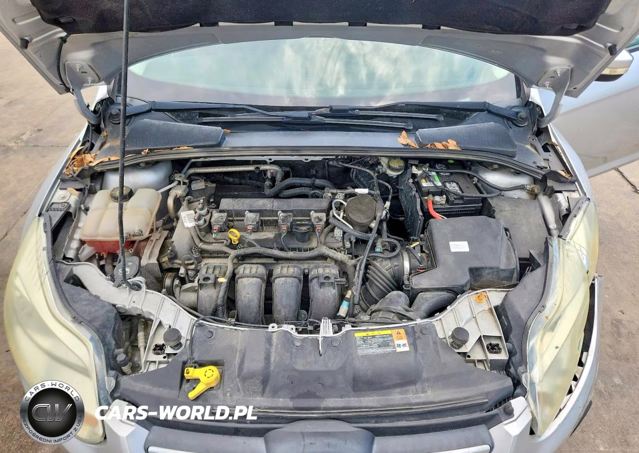 2014 Ford Focus Se VIN:1FADP3F20EL265570 - 11