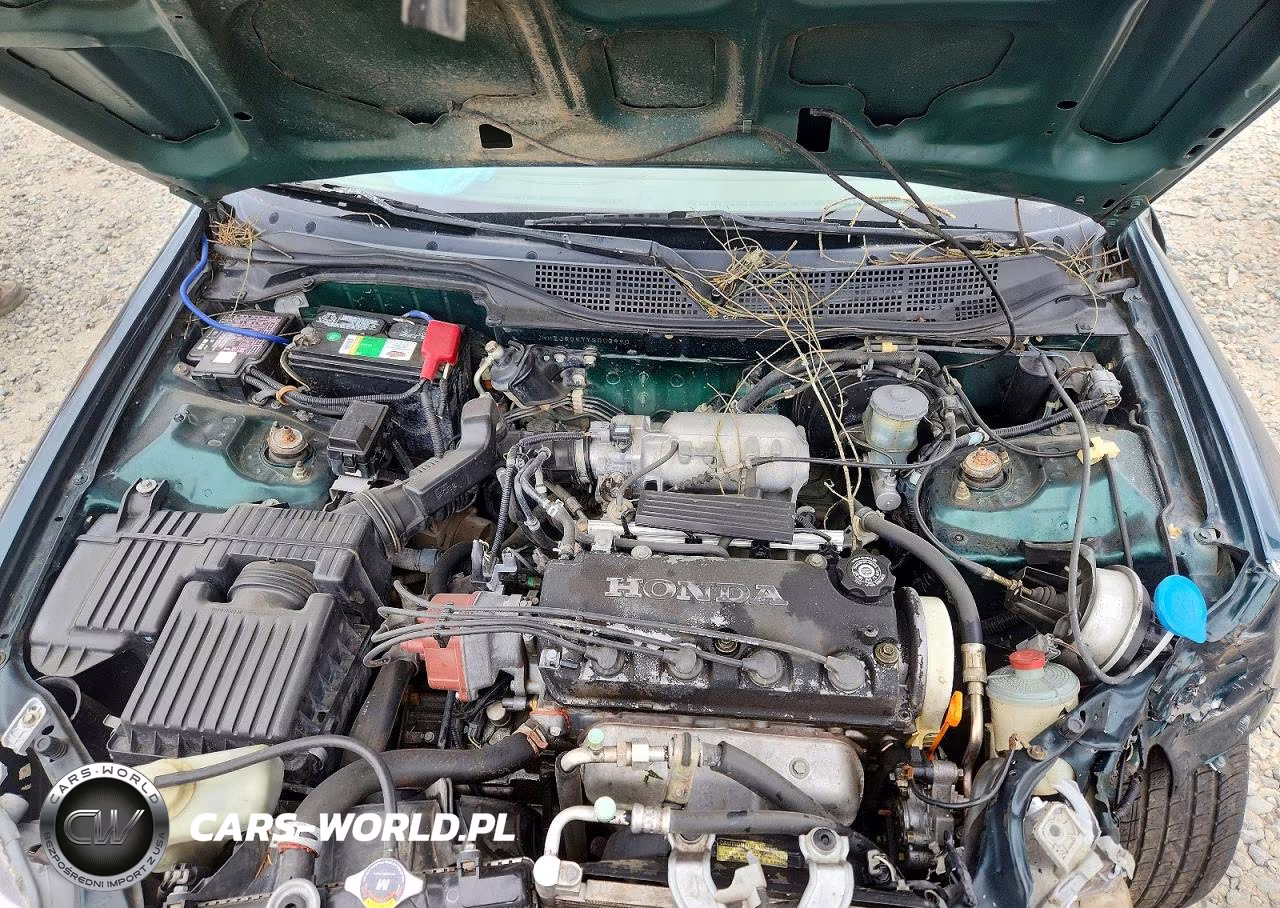 2000 Honda Civic Ex VIN:JHMEJ8647YS003990 - 11