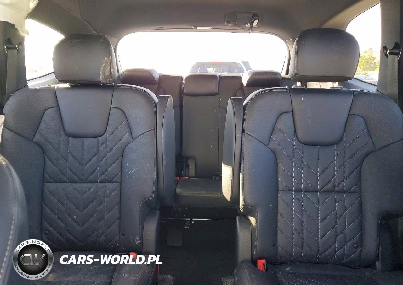 2025 Kia Telluride Ex X-Line VIN:5XYP3DGC4SG625592 - 10