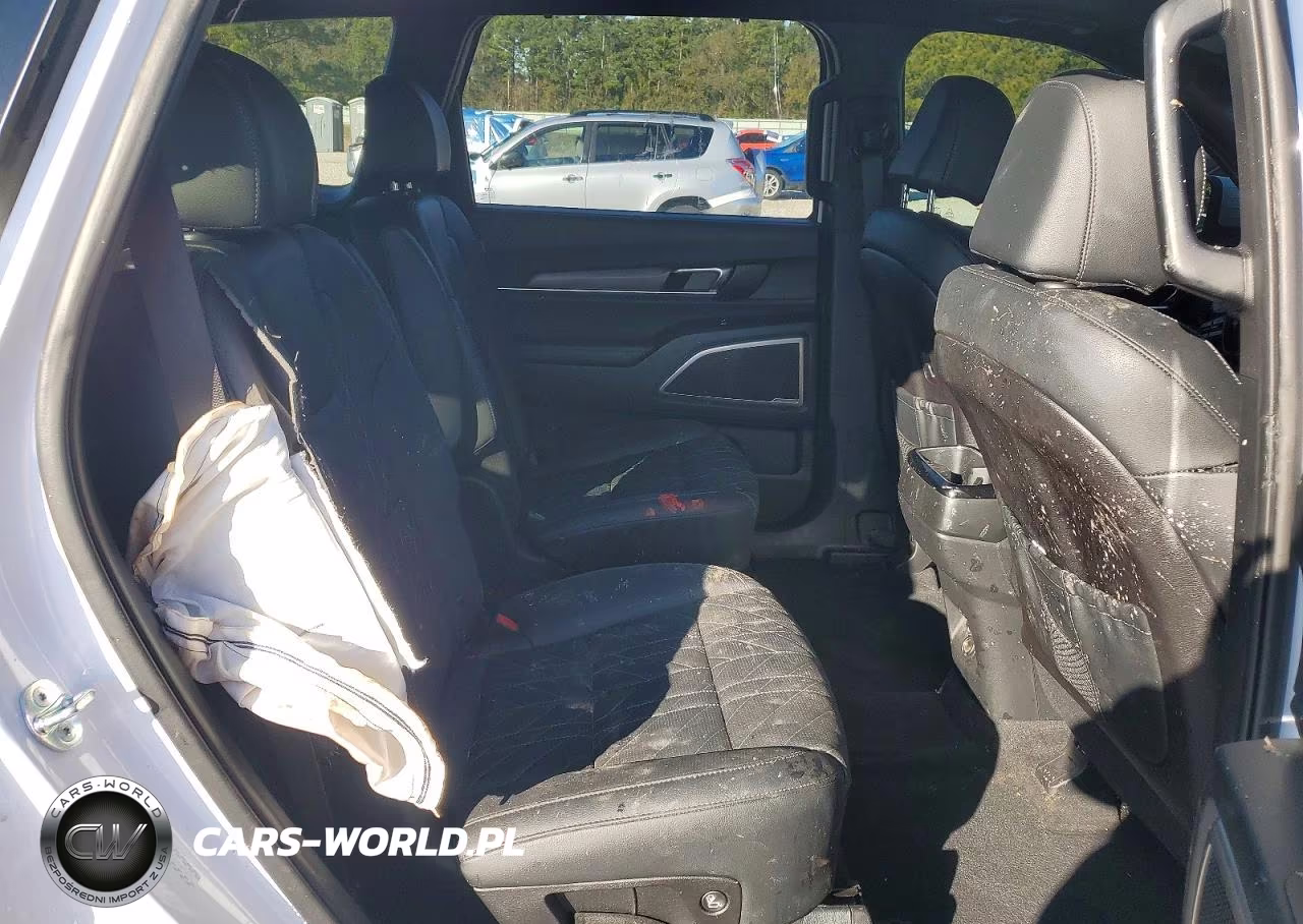 2025 Kia Telluride Ex X-Line VIN:5XYP3DGC4SG625592 - 11
