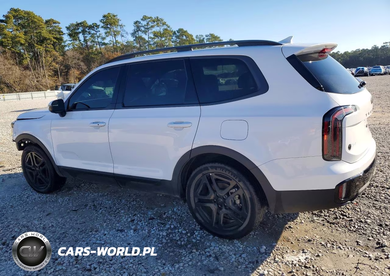 2025 Kia Telluride Ex X-Line VIN:5XYP3DGC4SG625592 - 2