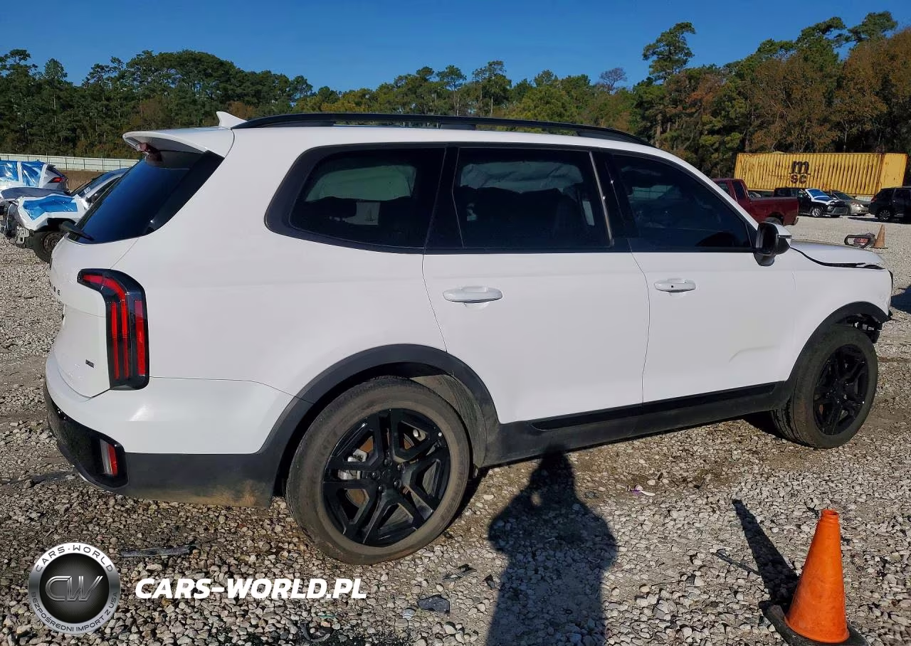 2025 Kia Telluride Ex X-Line VIN:5XYP3DGC4SG625592 - 3