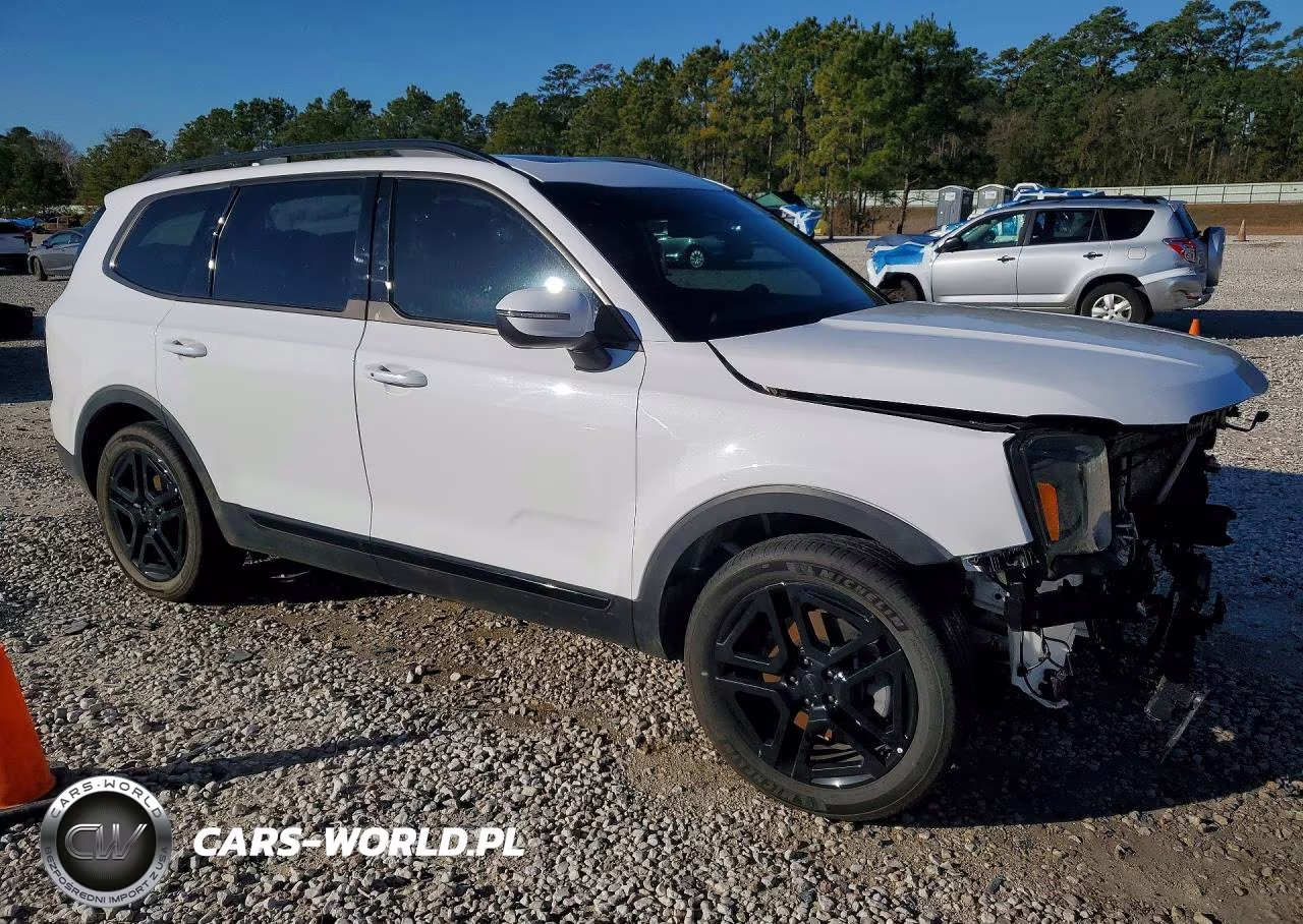 2025 Kia Telluride Ex X-Line VIN:5XYP3DGC4SG625592 - 4