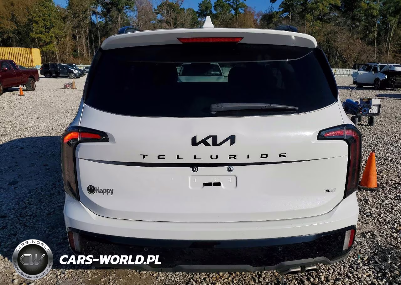 2025 Kia Telluride Ex X-Line VIN:5XYP3DGC4SG625592 - 6