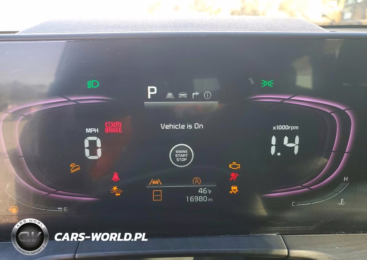 2025 Kia Telluride Ex X-Line VIN:5XYP3DGC4SG625592 - 9