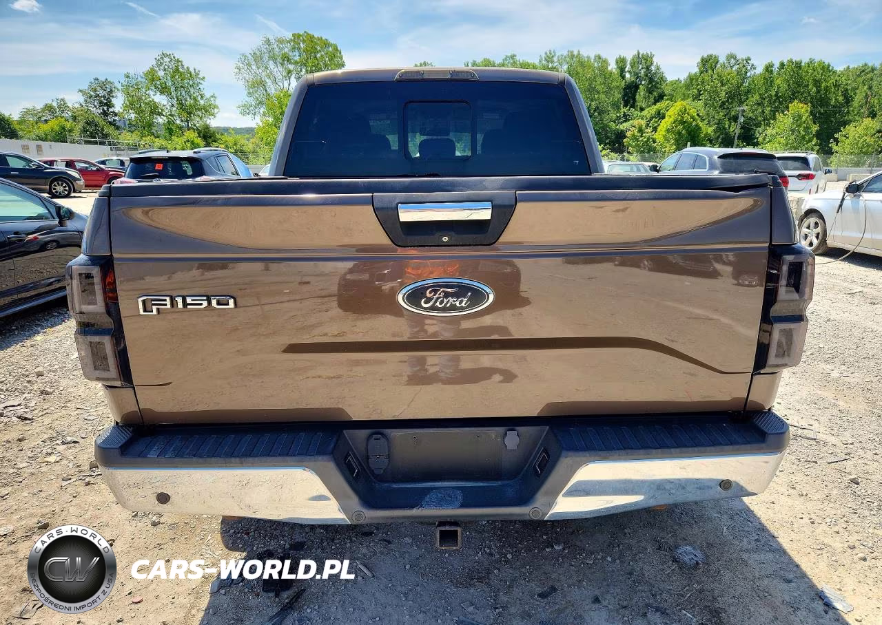 2015 Ford F150 Supercrew VIN:1FTEW1CG5FKD86754 - 6