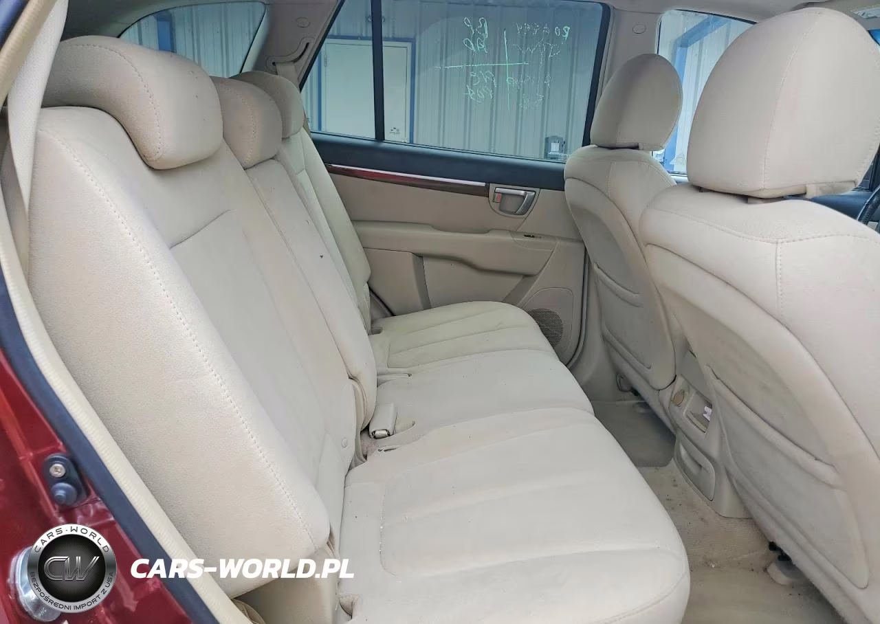 2009 Hyundai Santa Fe Se VIN:5NMSH13EX9H328814 - 11