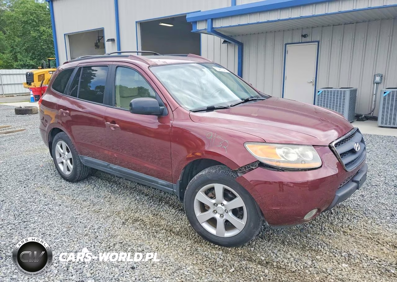 2009 Hyundai Santa Fe Se VIN:5NMSH13EX9H328814 - 4