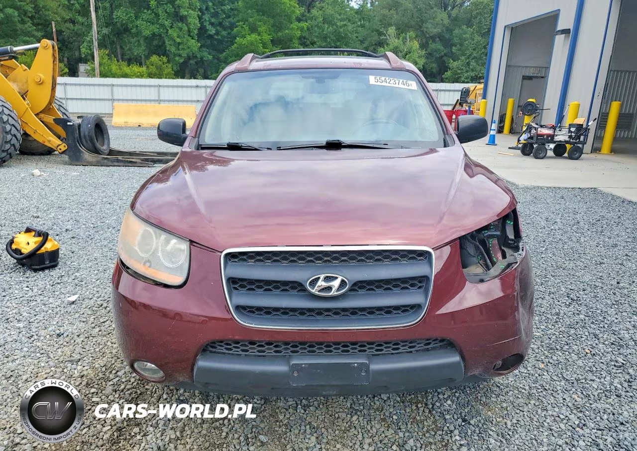 2009 Hyundai Santa Fe Se VIN:5NMSH13EX9H328814 - 5