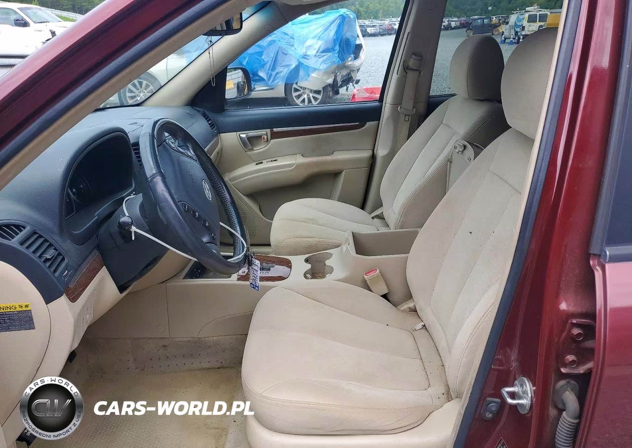 2009 Hyundai Santa Fe Se VIN:5NMSH13EX9H328814 - 7