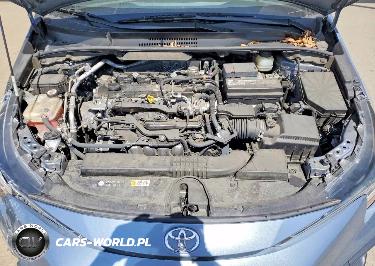 2020 Toyota Corolla Se VIN:JTDS4RCE6LJ038579 - 11