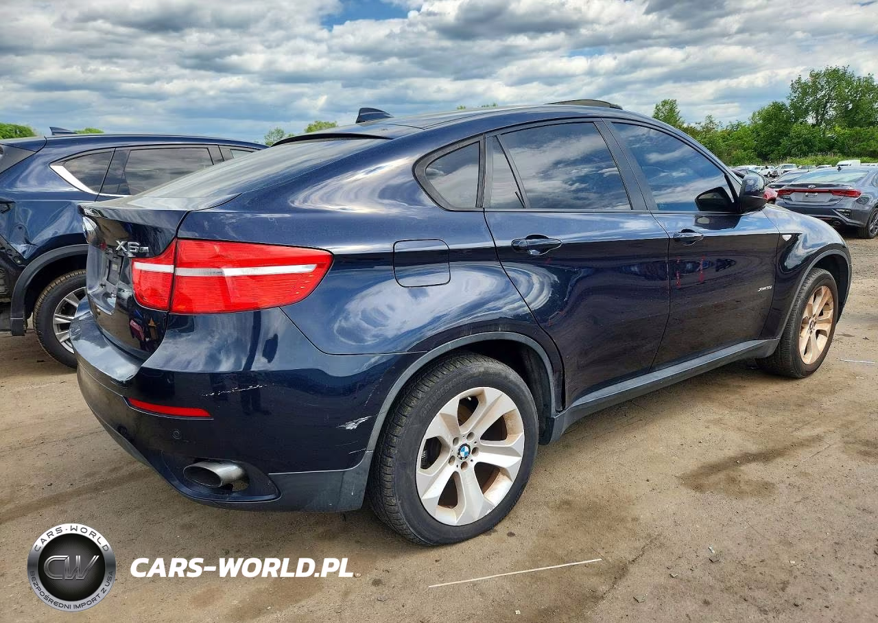 2010 BMW X6 xDrive35I VIN:5UXFG4C51AL226972 - 3