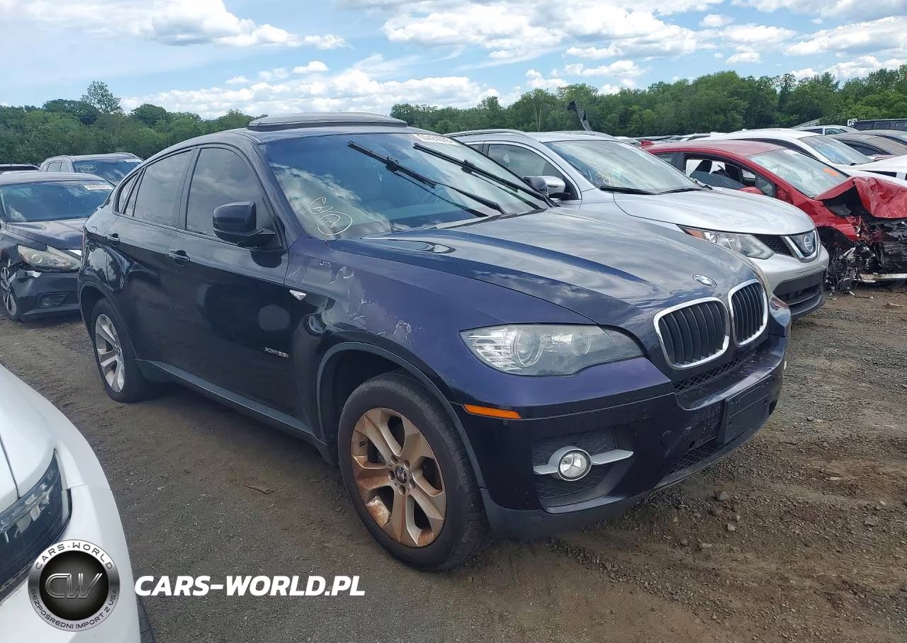 2010 BMW X6 xDrive35I VIN:5UXFG4C51AL226972 - 4