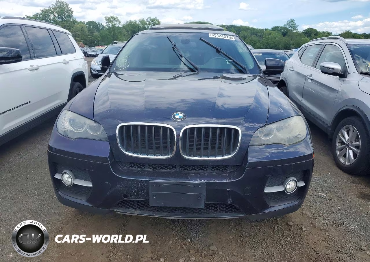 2010 BMW X6 xDrive35I VIN:5UXFG4C51AL226972 - 5