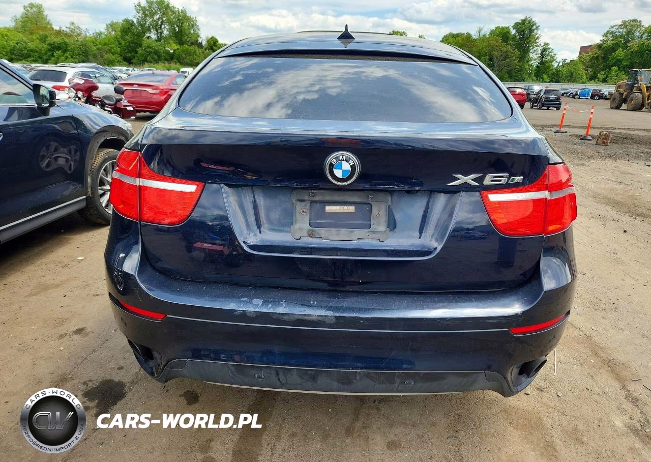 2010 BMW X6 xDrive35I VIN:5UXFG4C51AL226972 - 6