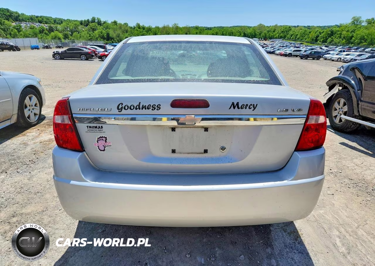 2005 Chevrolet Malibu Ls VIN:1G1ZT54895F165912 - 6