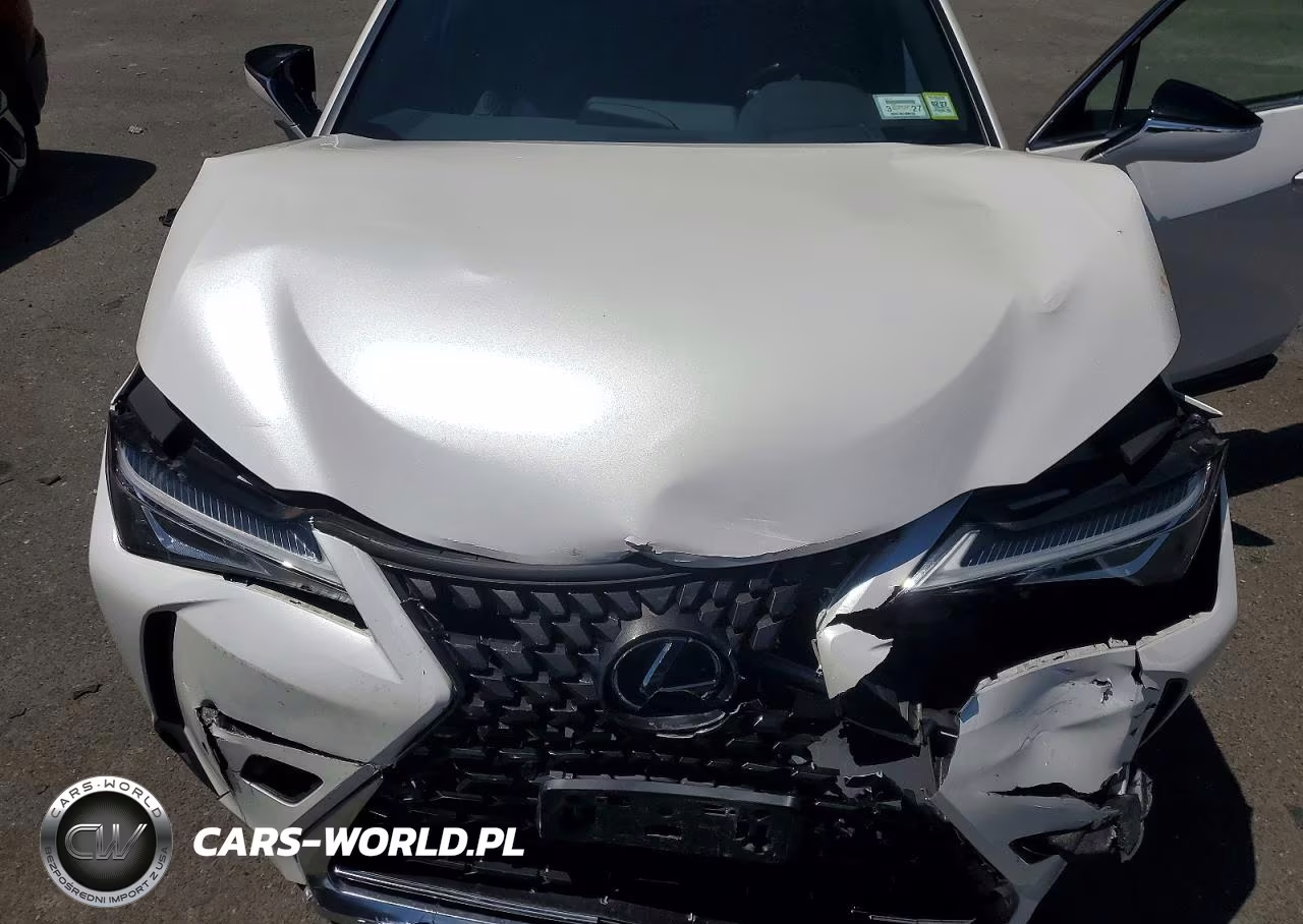 2021 Lexus Ux 250H VIN:JTHP9JBH2M2037458 - 11