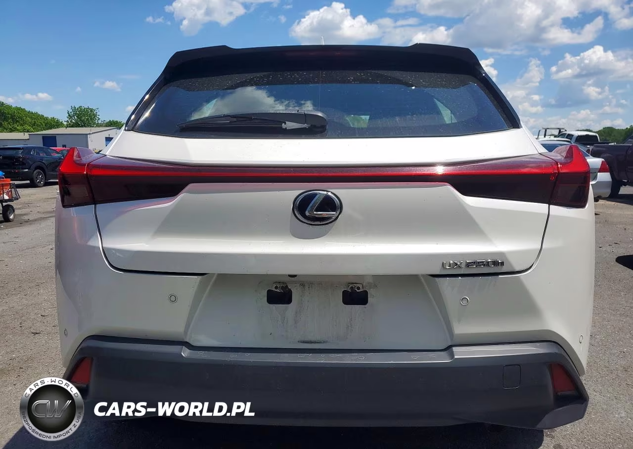 2021 Lexus Ux 250H VIN:JTHP9JBH2M2037458 - 6