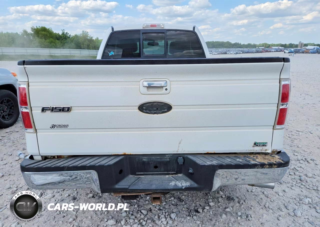 2010 Ford F150 Super Cab VIN:1FTFX1EV6AFA40307 - 6