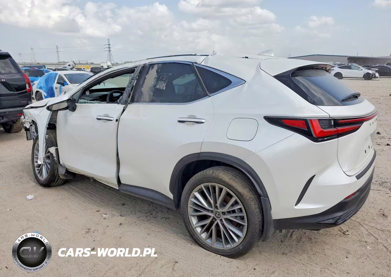 2025 Lexus Nx 350H Premium VIN:JTJGKCEZ3S2049909 - 2