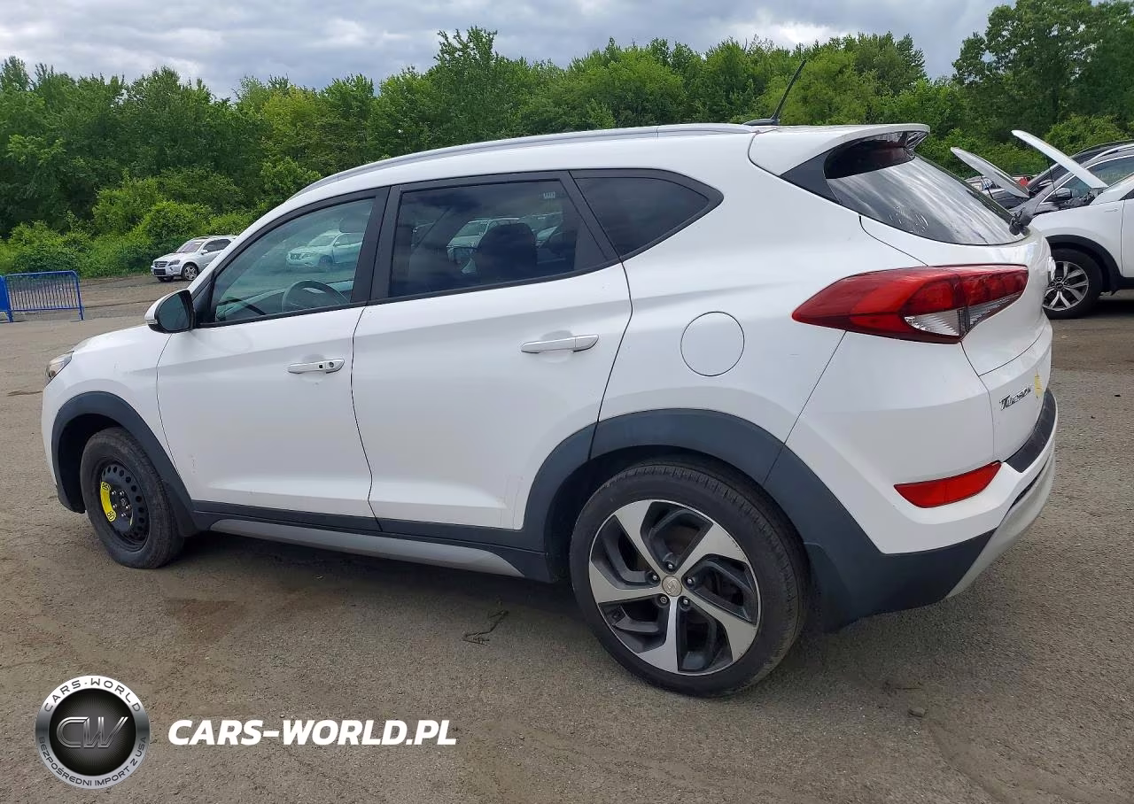 2017 Hyundai Tucson Sport VIN:KM8J33A21HU271100 - 2