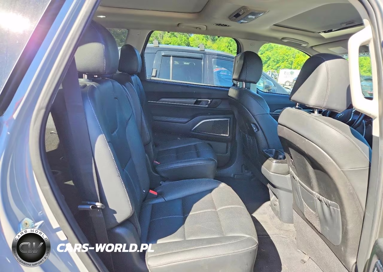 2021 Kia Telluride Sx VIN:5XYP5DHC1MG186329 - 11