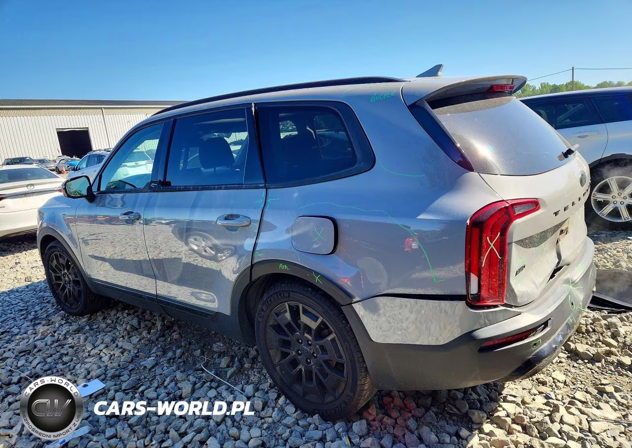 2021 Kia Telluride Sx VIN:5XYP5DHC1MG186329 - 2