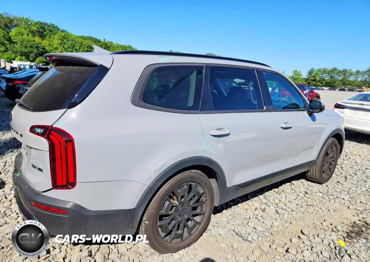 2021 Kia Telluride Sx VIN:5XYP5DHC1MG186329 - 3