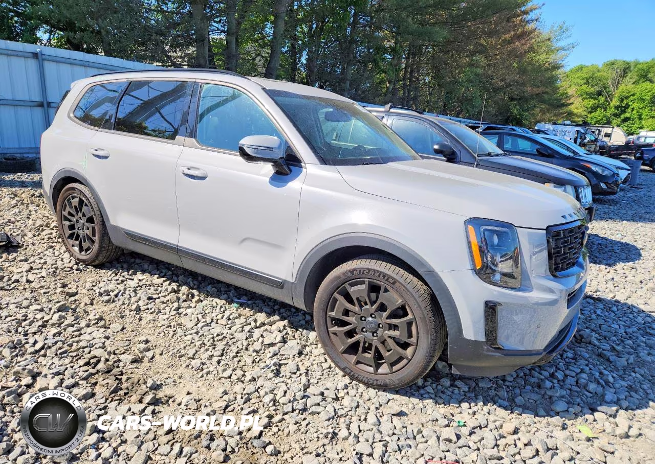 2021 Kia Telluride Sx VIN:5XYP5DHC1MG186329 - 4
