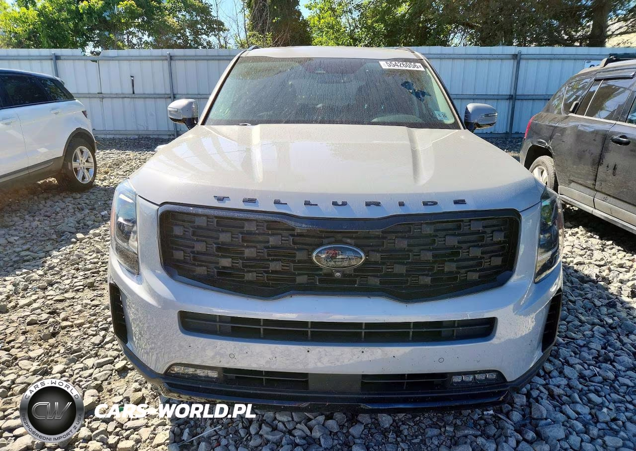 2021 Kia Telluride Sx VIN:5XYP5DHC1MG186329 - 5