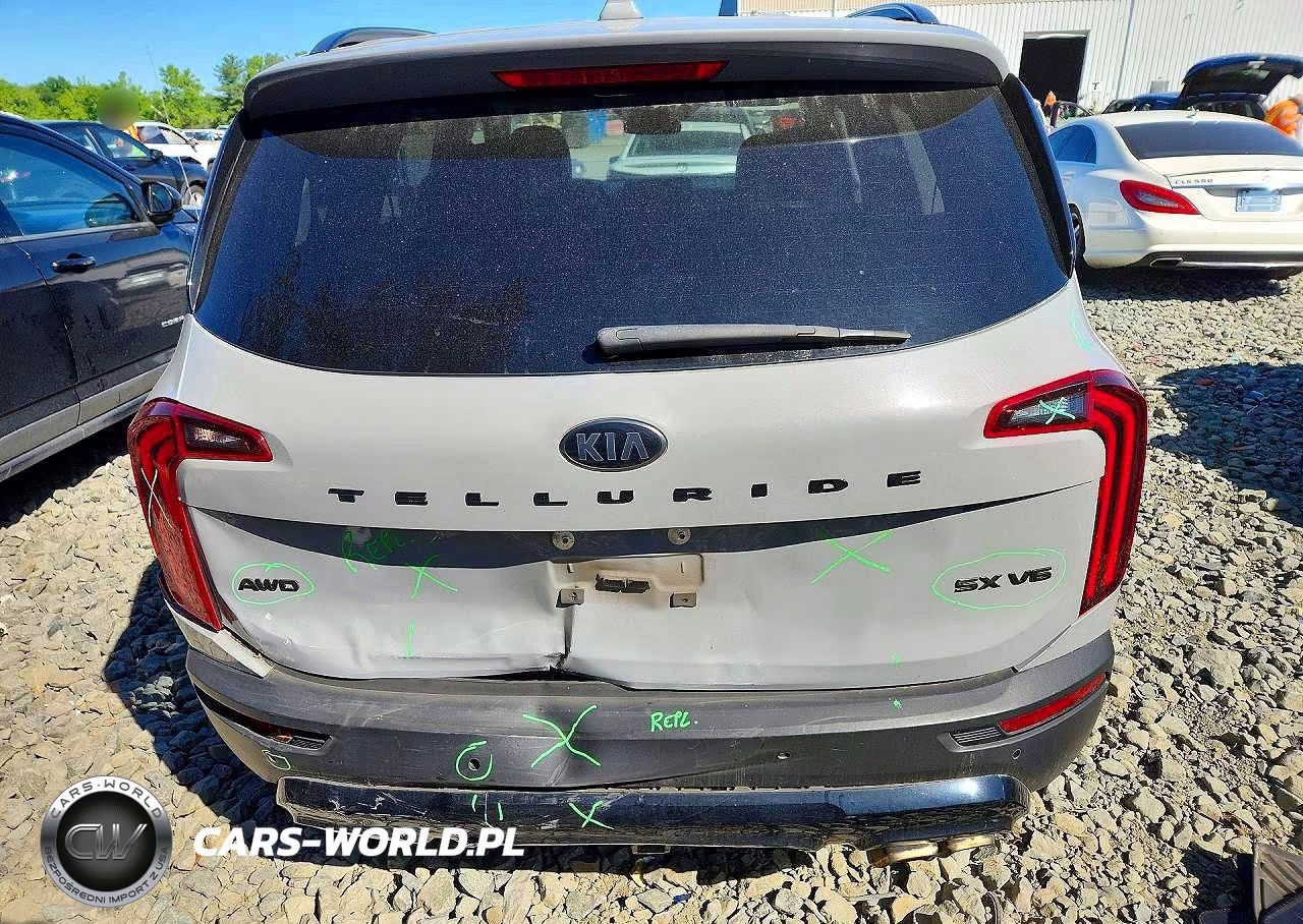 2021 Kia Telluride Sx VIN:5XYP5DHC1MG186329 - 6