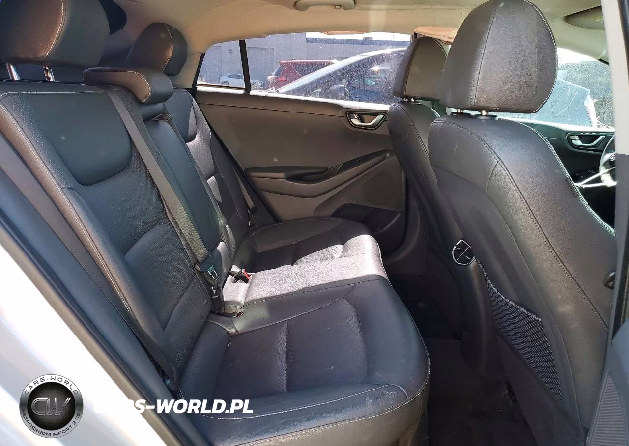 2019 Hyundai Ioniq Limited VIN:KMHC05LC9KU132634 - 10