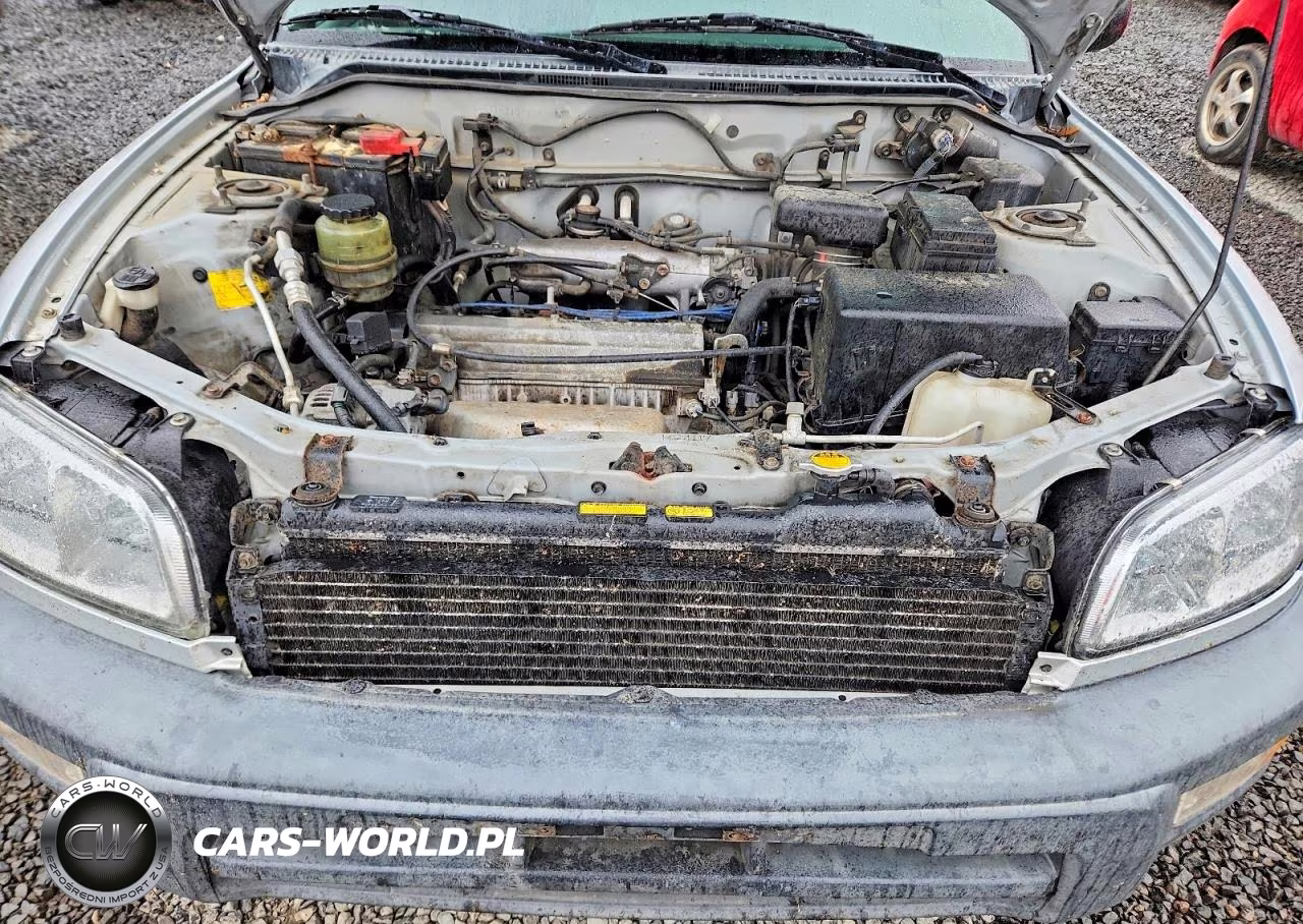 1998 Toyota Rav4 Base VIN:JT3HP10VXW7107769 - 12