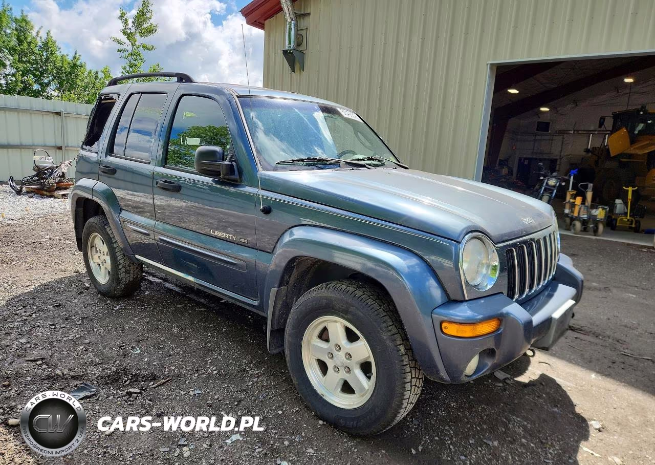 2002 Jeep Liberty Limited VIN:1J4GL58K92W213175 - 4