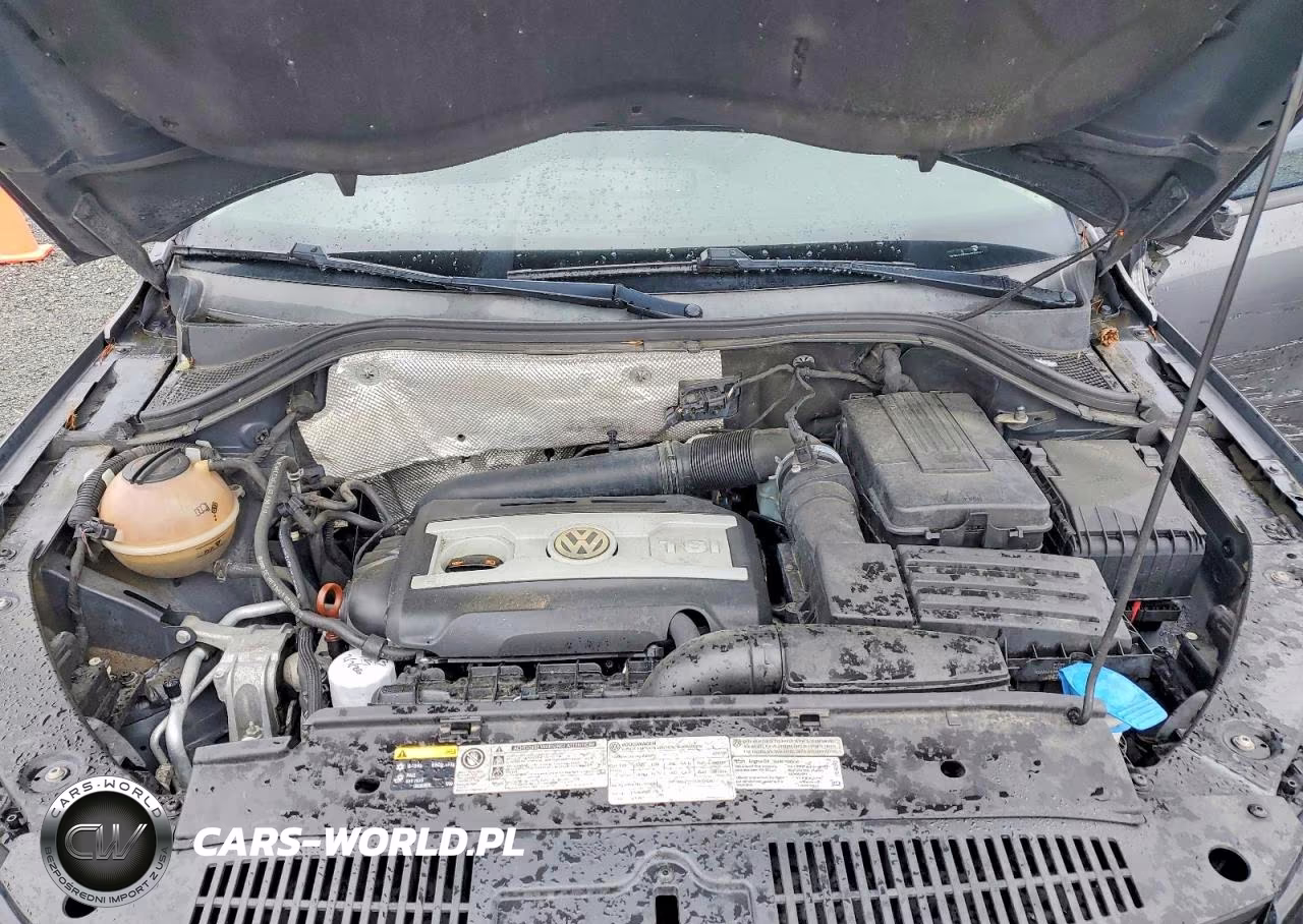 2013 Volkswagen Tiguan S VIN:WVGBV3AX5DW584594 - 12