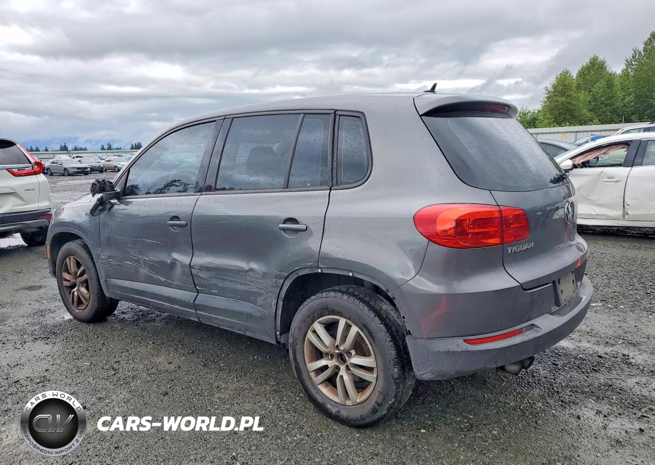 2013 Volkswagen Tiguan S VIN:WVGBV3AX5DW584594 - 2