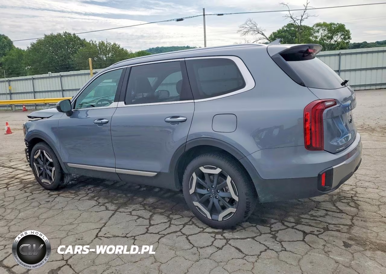2025 Kia Telluride S VIN:5XYP6DGC3SG628412 - 2