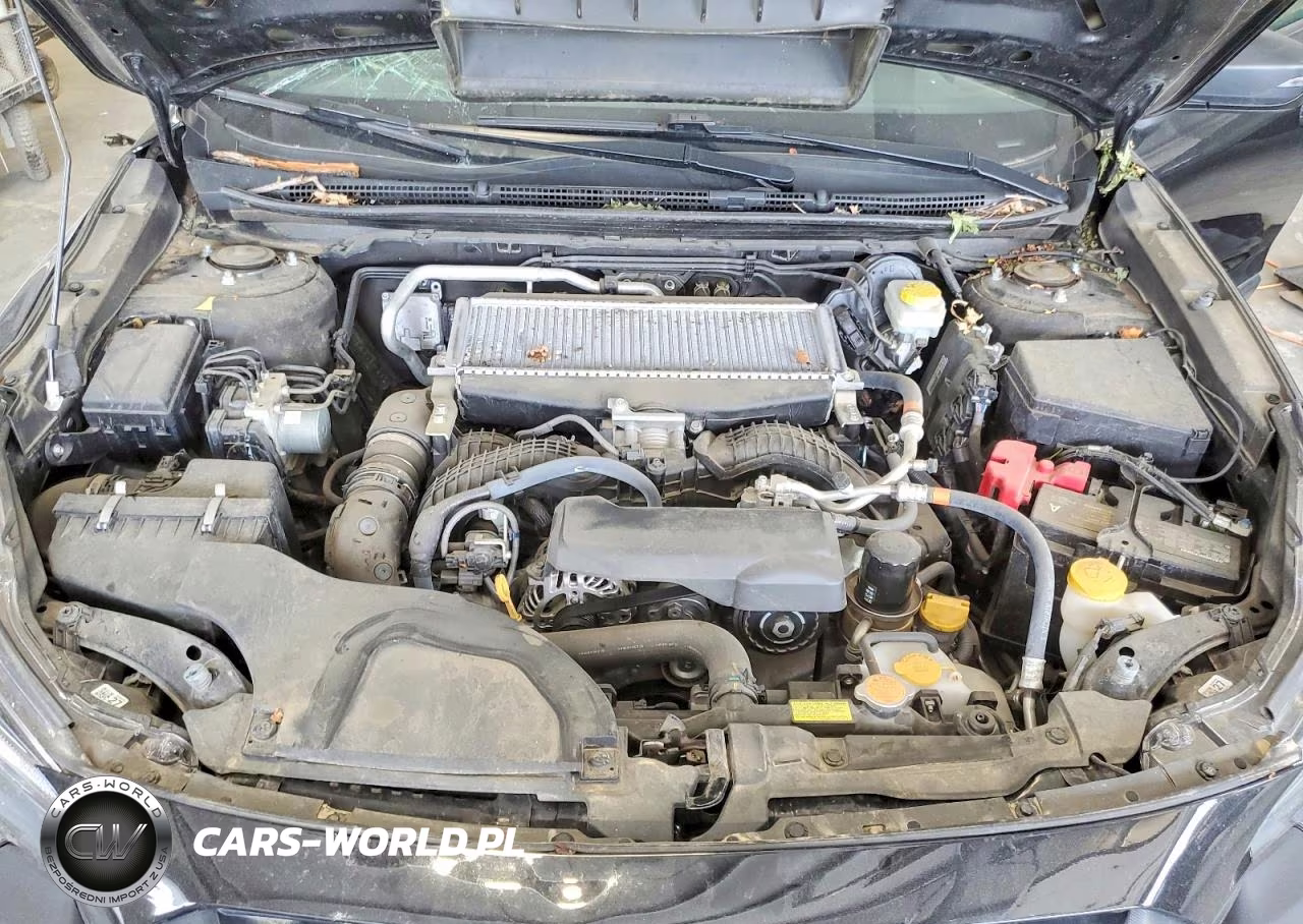 2024 Subaru Outback Wilderness VIN:4S4BTGSD1R3142664 - 12