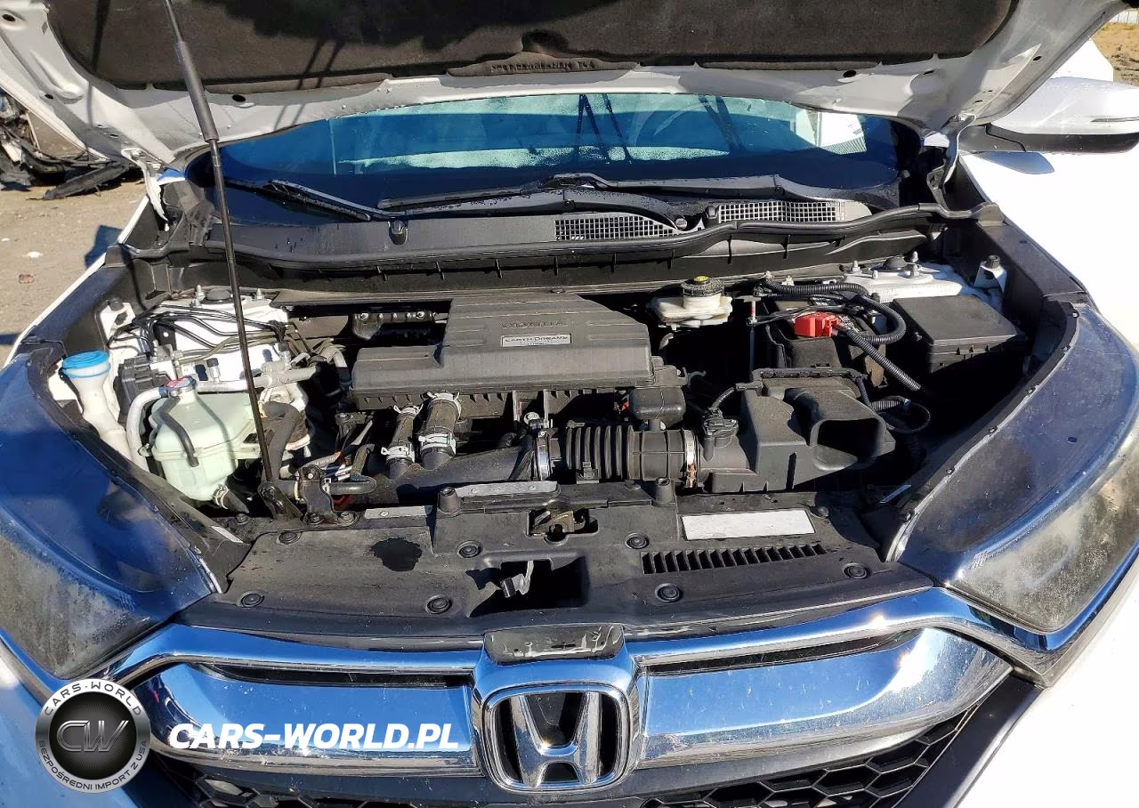 2019 Honda Cr-V Ex VIN:5J6RW1H51KA003668 - 12