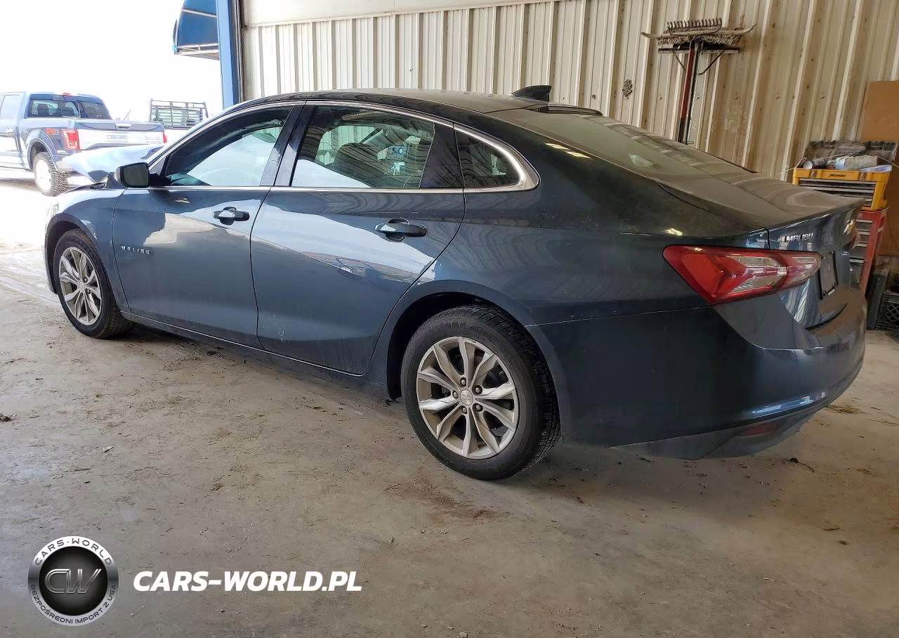 2019 Chevrolet Malibu Lt VIN:1G1ZD5ST6KF173210 - 2