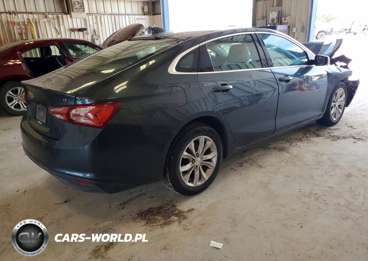 2019 Chevrolet Malibu Lt VIN:1G1ZD5ST6KF173210 - 3