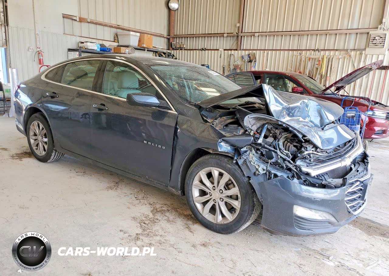 2019 Chevrolet Malibu Lt VIN:1G1ZD5ST6KF173210 - 4