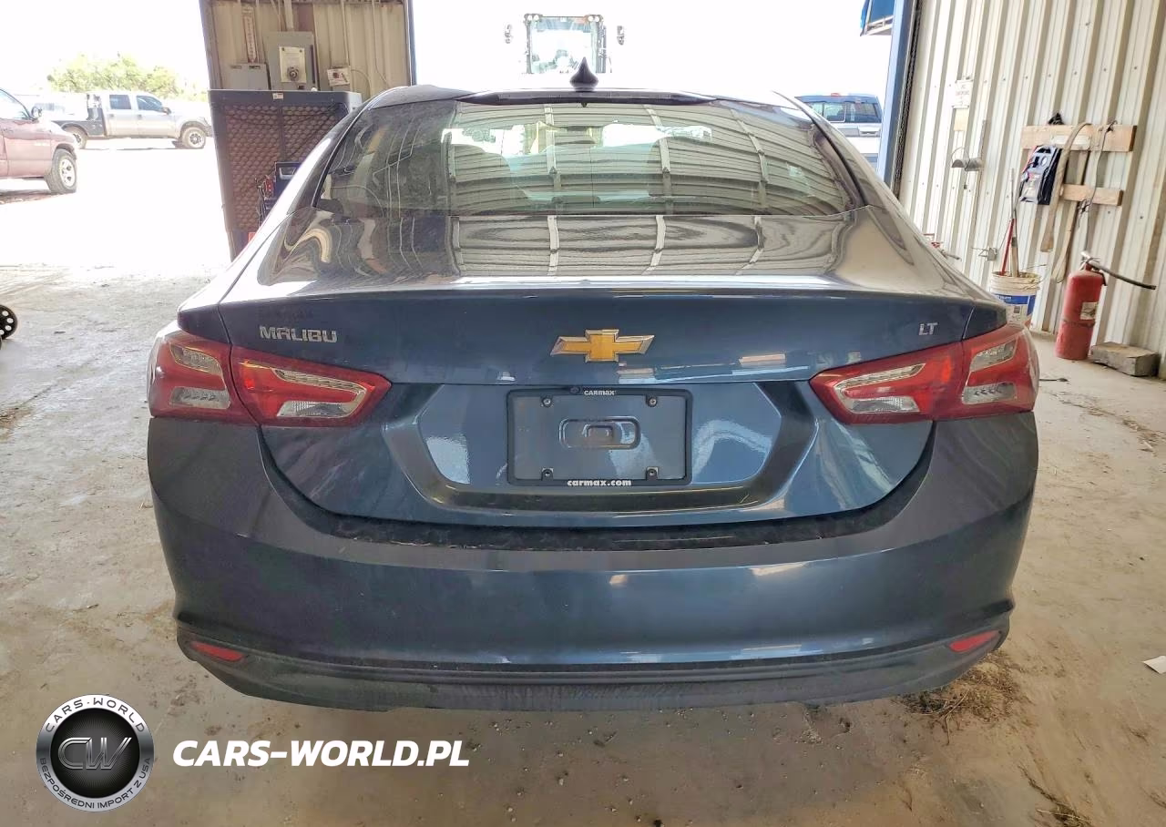 2019 Chevrolet Malibu Lt VIN:1G1ZD5ST6KF173210 - 6