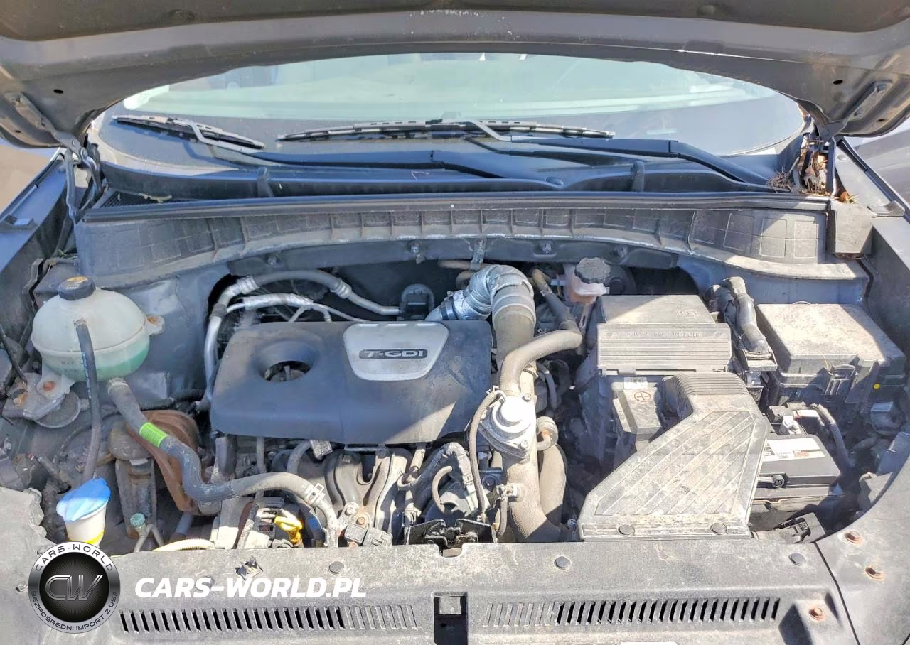 2018 Hyundai Tucson Value VIN:KM8J33A28JU801066 - 12
