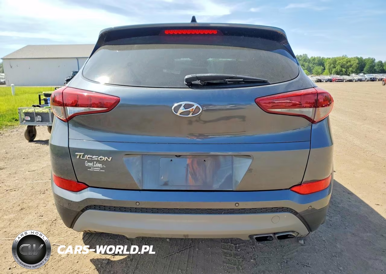 2018 Hyundai Tucson Value VIN:KM8J33A28JU801066 - 6