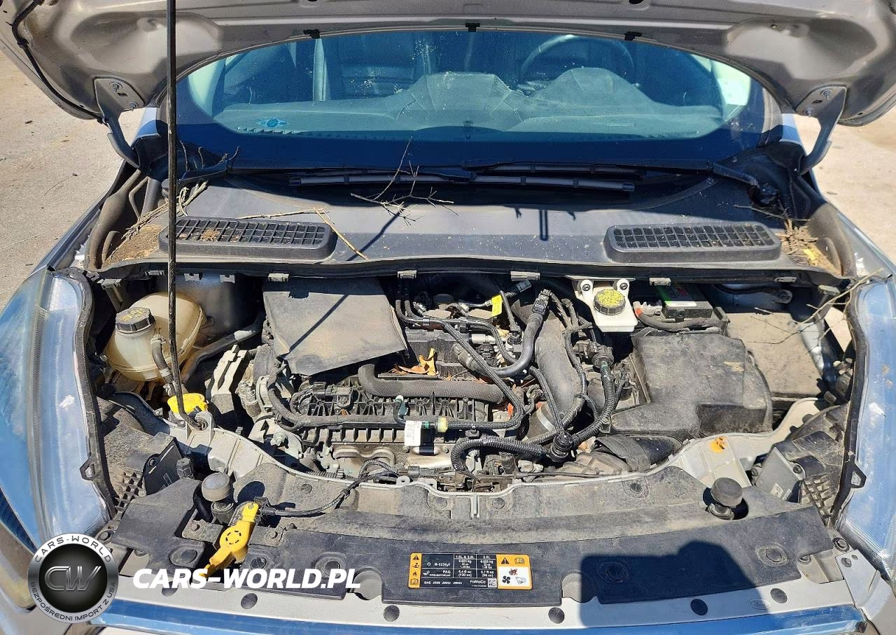 2019 Ford Escape Sel VIN:1FMCU9HD0KUA46318 - 12