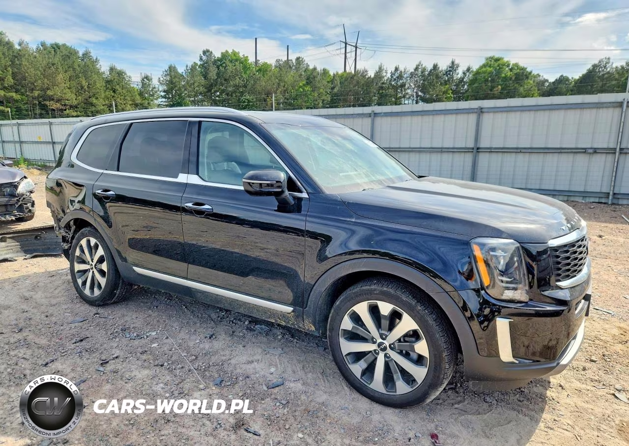 2022 Kia Telluride S VIN:5XYP6DHC8NG314273 - 4